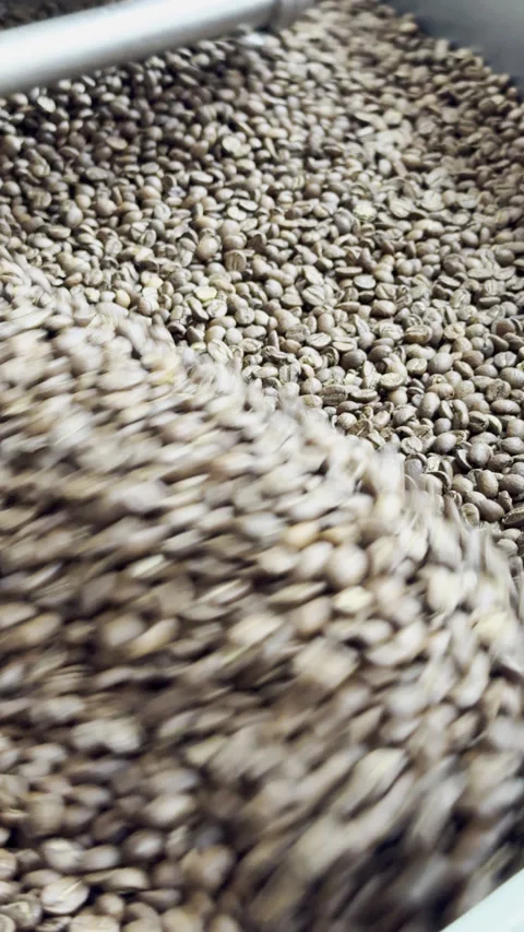 Coffe Beans Being Roasted and Cooled Stock Footage 258383268