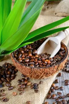 Coffe beans in coconut Stock Photos