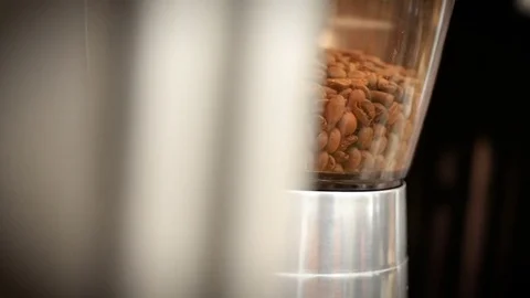 Coffe beans in a coffe grinder Stock Footage 80283540