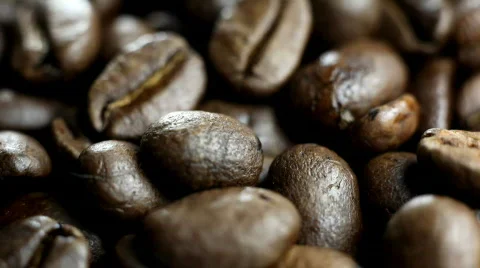 Coffe Beans  Stock Footage 359990