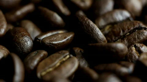 Coffe Beans  Stock Footage 360312