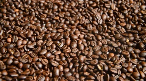 Coffe beans Stock Footage 41030483