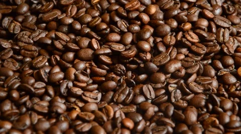Coffe beans Stock Footage 41030490