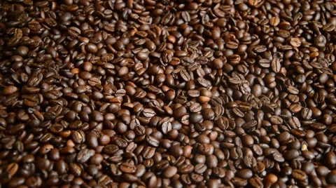 Coffe beans Stock Footage 41030492