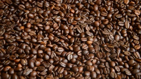Coffe beans Stock Footage 41030506