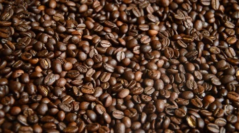Coffe beans Stock Footage 41030507