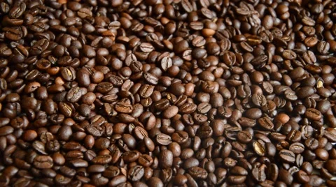 Coffe beans Stock Footage 41030509