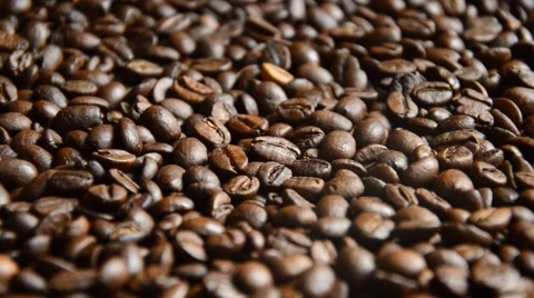 Coffe beans Stock Footage 41030669