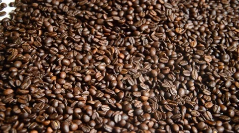 Coffe beans Stock Footage 41030849