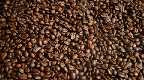 Coffe beans Stock Footage 41030862