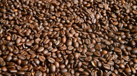 Coffe beans Stock Footage 41030929