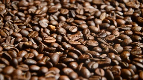 Coffe beans Stock Footage 41030952