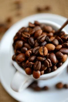 Coffe beans Stock Photos