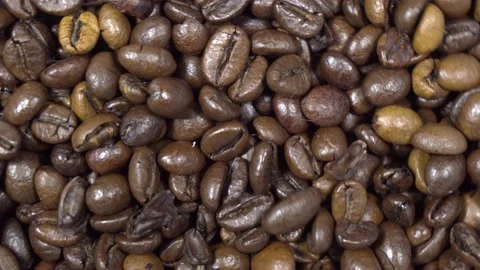 Coffe Beans Rotating Macro  Footage Stock Footage 153500778