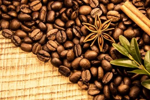 Coffe beans texture with cinnamon, dry orang and copyspace Stock Photos
