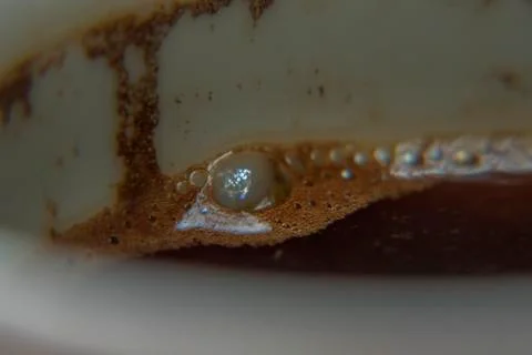 Coffe bubble close-up Stock Photos