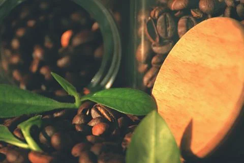 Coffe grain Stock Photos