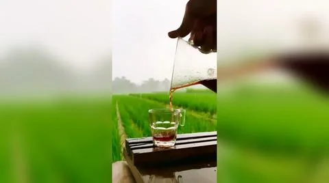 Coffe in a hut Stock Photos