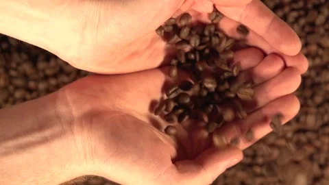 Coffee 008 Stock Footage 159234366