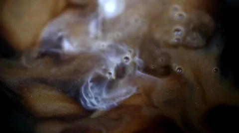 Coffee adding milk swirl Stock Footage 26416558