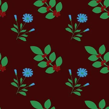 Coffee and chicory Stock Illustration