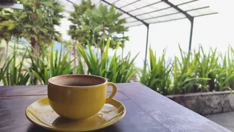Coffee and views Stock Footage 251344473
