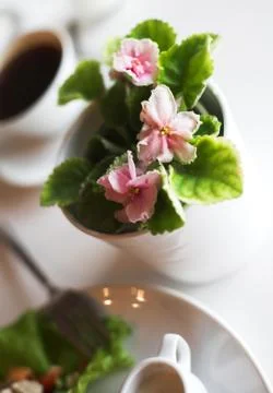 Coffee and violets Stock Photos