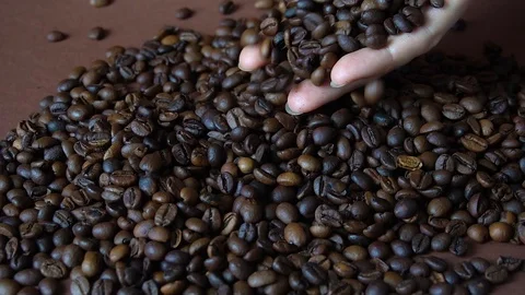 Coffee aromatic grains of coffee sprinkle with a female hand 스톡 동영상 114905021