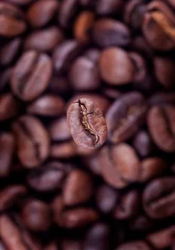 Coffee background close-up. Focus on one grain Stock Photos