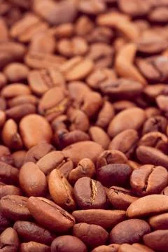 Coffee background Vertical coffee background, macro of seeds Copyright: xZ... Stock-Fotos