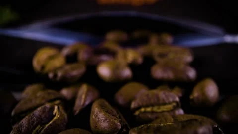 Coffee Bag Pull with Pine Needles Stock Footage 147942998