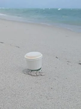 Coffee beach Stock Photos