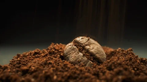Coffee Bean And Falling Ground Coffee. Macro Shot. Stock Footage 108796108