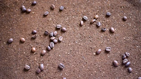 Coffee bean and ground design drawing in daylight Video stock 106550918