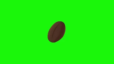 Coffee bean animation on green screen Stock Footage 334772736