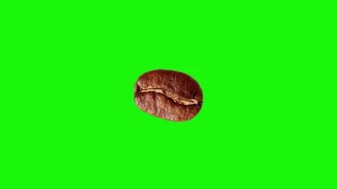 Coffee bean animation on green screen Stock Footage 334772744