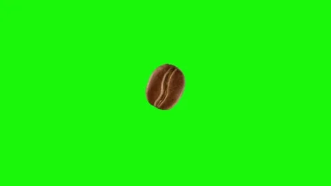 Coffee bean animation on green screen 動画素材 334772746