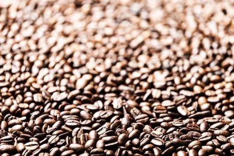 Coffee bean background Stock Photos