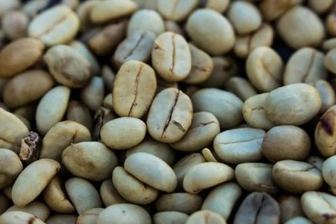 Coffee bean background Stock Photos