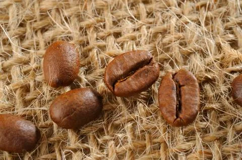 Coffee bean on background Stock Photos