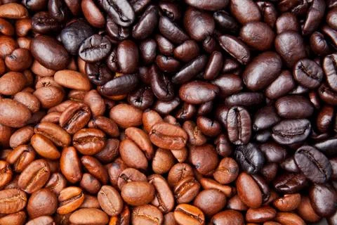 Coffee bean background Stock Photos