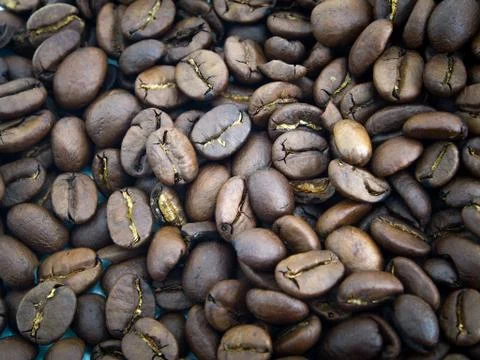 Coffee bean background. Stock Photos