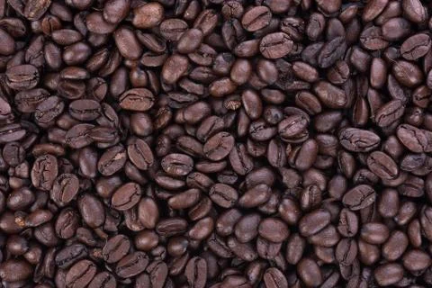 Coffee bean  background Fotos de archivo