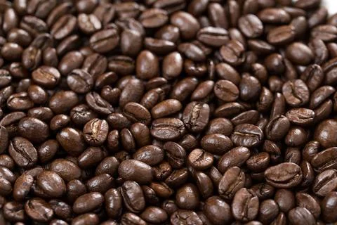 Coffee bean background Stock Photos
