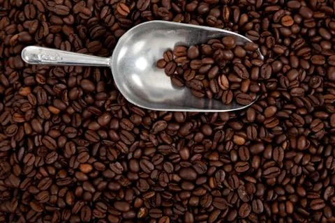 A coffee bean background with a silver scoop Stock Photos