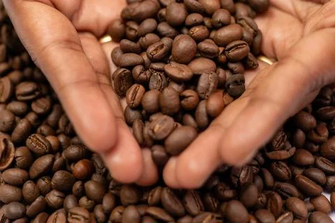 Coffee Bean Bliss Stock Photos