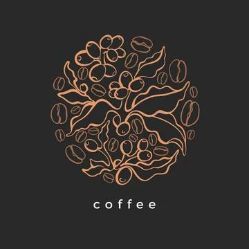Coffee bean, branch. Vector hand drawn symbol in circle. Vintage floral desig Stock Illustration