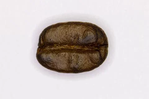 Coffee bean. Brown coffee bean isolated on white background. Coffee bean Stock Photos