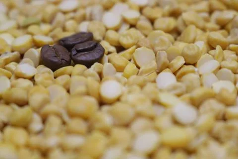 Coffee bean on chickpeas Stock Photos