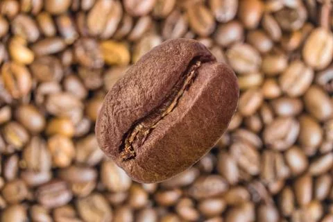Coffee bean close-up on a blurry background of coffee beans. Soaring effect. Stock Photos